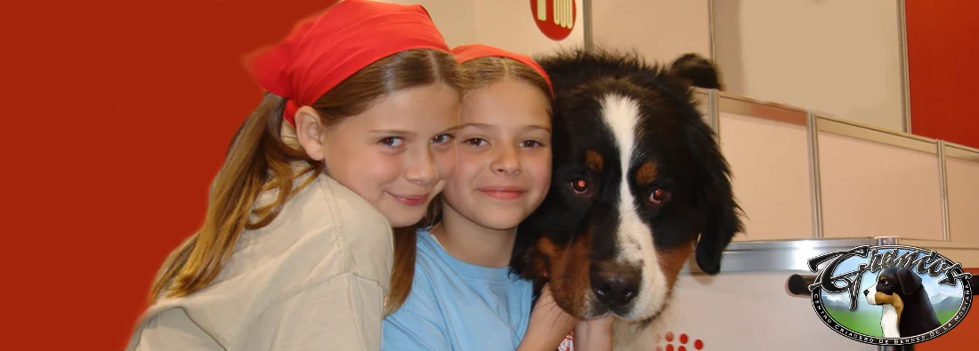 Bouvier Bernois Grancos en exposition canine au Mexique